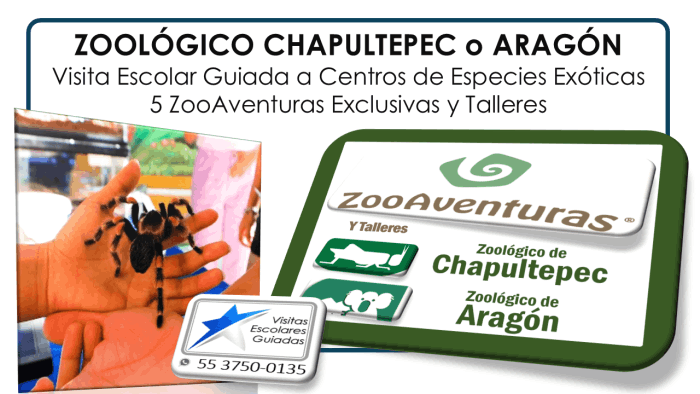 ZOOLOGICO CHAPULTEPEC VisitasEscolaresGuiadas.com